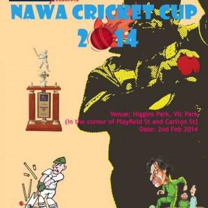 Perth Cricket Cup 2014